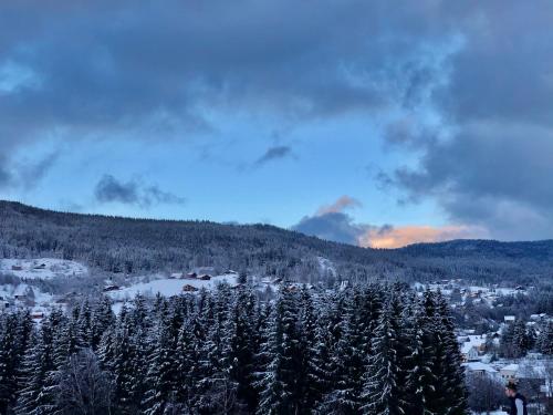 Chalet Le Bois des Neiges Charmant chalet authentique Proche Gérardmer 260 Route du Tremplin Xonrupt-Longemer