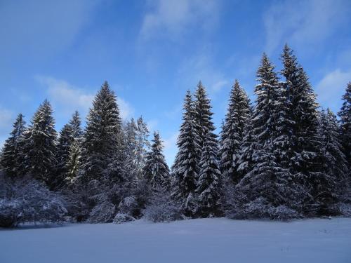 le bon accueil Malbuisson france