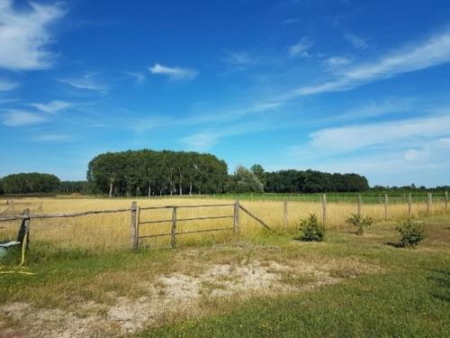 Maison de vacances Le Bonheur est dans le Pré. 24 Route de Choussy Saint-Romain-sur-Cher