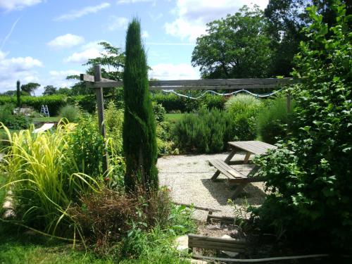 Séjour chez l'habitant Le Bord de l'eau Studio 31 Route de Challon Sainte-Terre