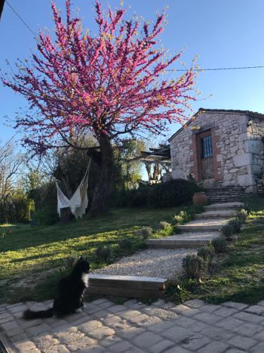 B&B / Chambre d'hôtes Le Bouyssou Le Bouyssou Cazes-Mondenard