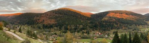 Le Cabanon de LaFermeDuNol La Bresse france