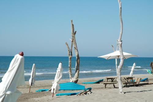 LE CALIFORNIE Made in Camargue à deux pas de la plage Le Grau-du-Roi france