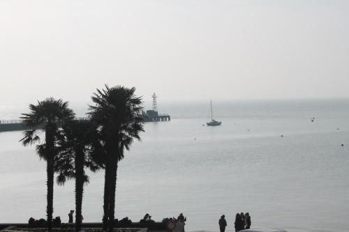 Le Cancalais Cancale france