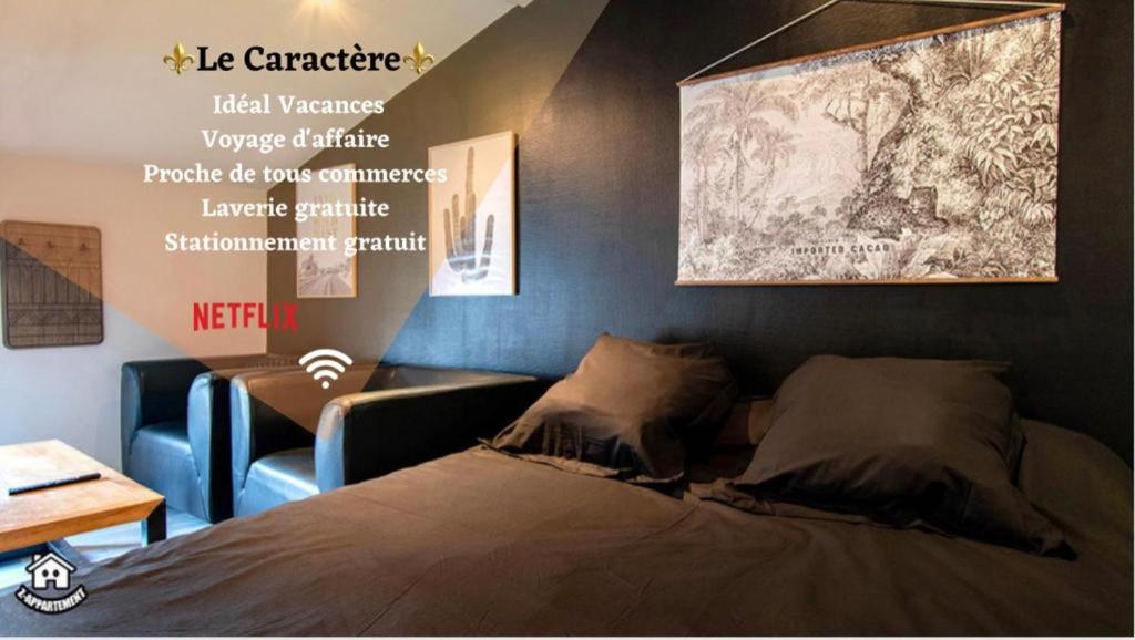 Appartement Le Caractère - centre ville- WIFI- parking 118 Rue de Strasbourg, 79000 Niort