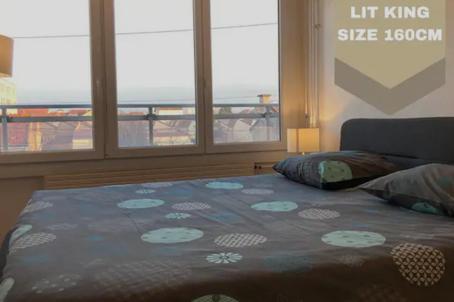 Le Carnot, lit King Size, proche hyper centre Riorges france