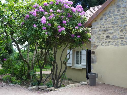 Le Cèdre enchanté La Guiche france