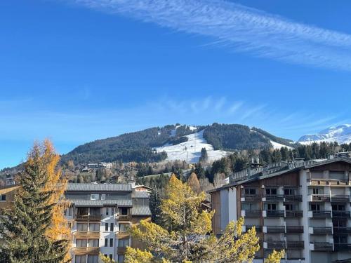 Le Cerf - pied des pistes Rochebrune Megève france