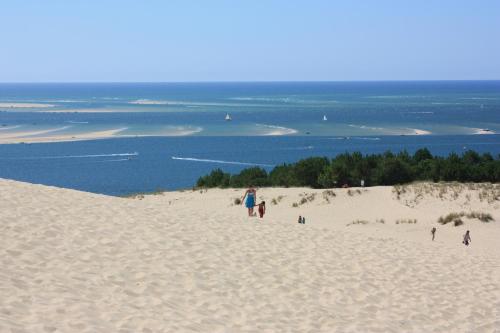 Le Chai O Soleils Mortagne-sur-Gironde france