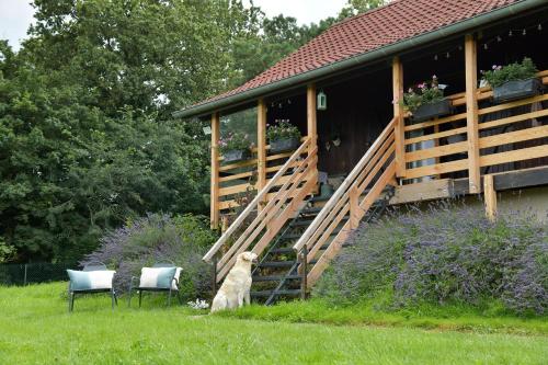 Le Chalet d’Eliot Chevigny france