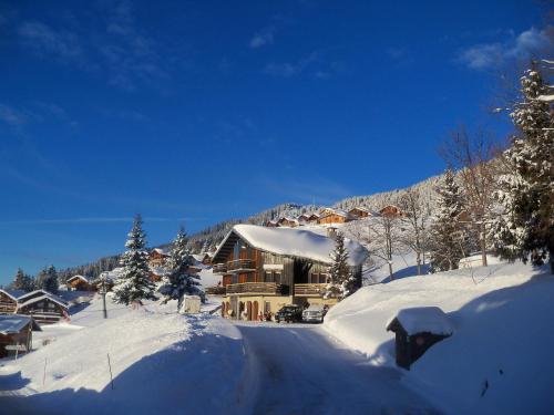 Appart'hôtel Le Chalet de Bisanne 111 route du Reban Villard-sur-Doron