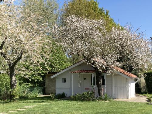 B&B / Chambre d'hôtes LE CHALET de LA LONGERE 221 Rue Jacques Varlet Beuvry-Nord