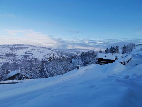 Le chalet du Brabant à 200 mètres des pistes La Bresse france