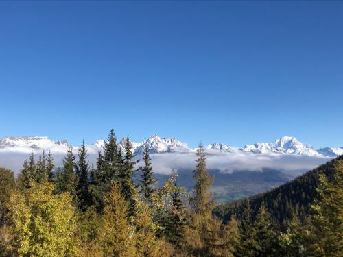 Chalet Le Chalet Savoyard - Vos vacances familiales et cosy de 6 à 14 pers Plangagnant La Plagne Tarentaise