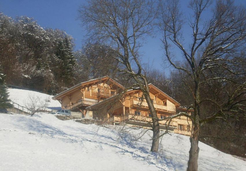 Appartements Le Chalet Vue Mont-Blanc 1350, route de Doran, 74700 Sallanches