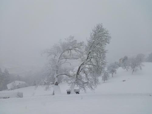 Appartements Le Chalet Vue Mont-Blanc 1350, route de Doran Sallanches