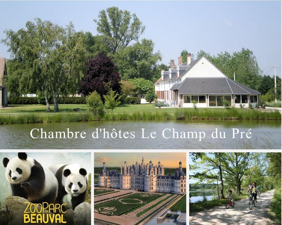 B&B / Chambre d'hôtes Le Champ du Pré Lieu dit la Pierre, 41130 Gièvres