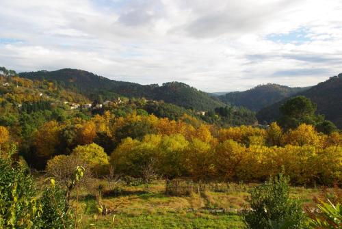 Le champ neuf Saint-Julien-des-Points france