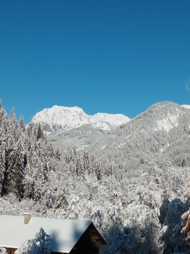 Le Chardon Bleu Châtel france