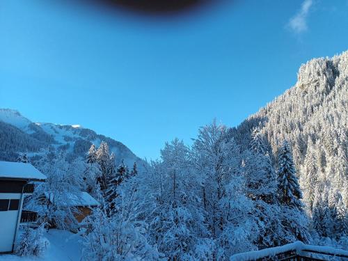 Appartement Le Chardon Bleu 668 rte des freinets Châtel