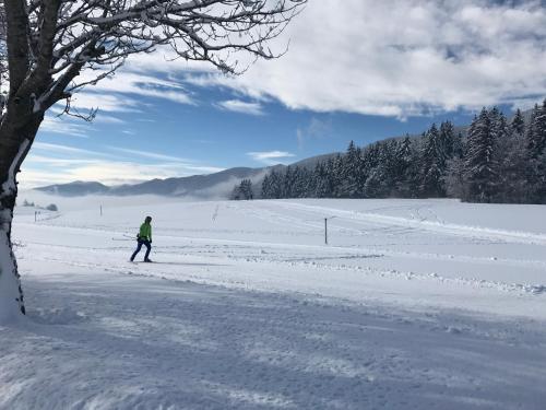 Le Chevreuil Autrans france