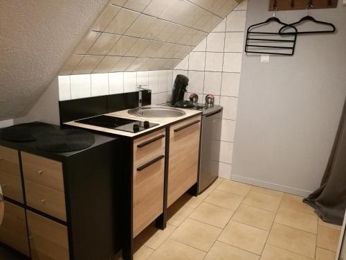 Appartement Le cigogneau-studio alcôve au calme 22 Rue de Neuf Brisach Sainte-Croix-en-Plaine