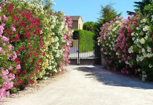 Le Clos de Calas Mollégès france