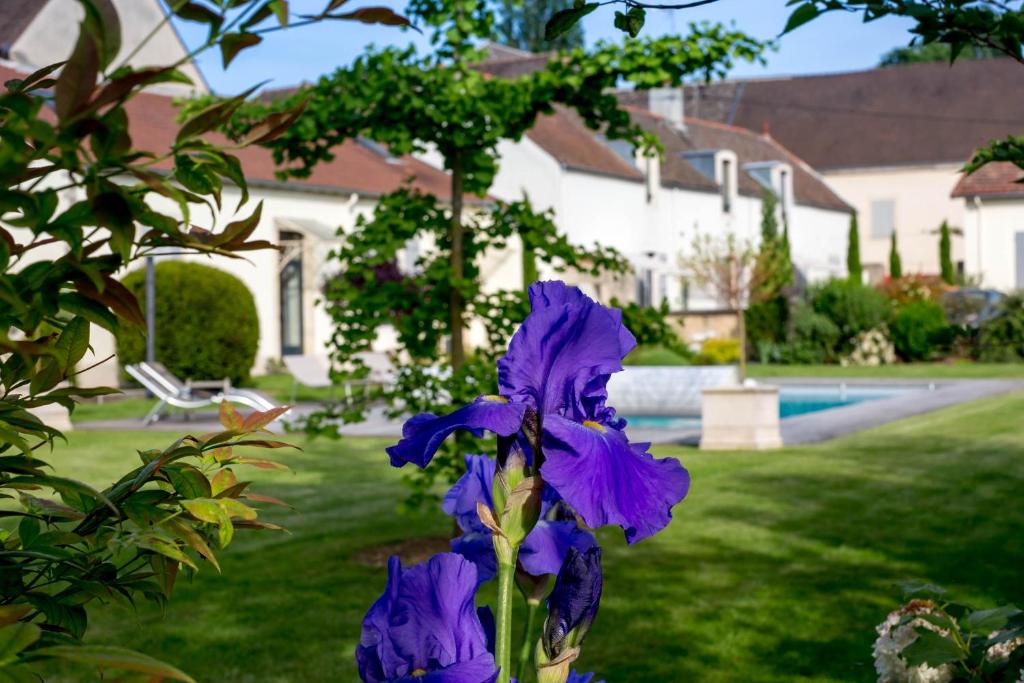 B&B / Chambre d'hôtes Le Clos de l'Aigue 4 Rue Sylvestre Chauvelot, 21200 Beaune