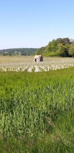 Le Clos de la Chesneraie Saint-Georges-sur-Cher france