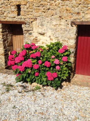 LE CLOS DE LA VINIERE Jard-sur-Mer france