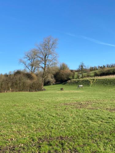 Le Clos des deux chênes Coupelle-Vieille france