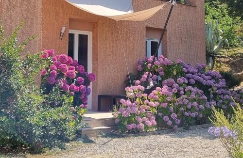 B&B / Chambre d'hôtes Le Clos des Milans Querciole Rapale