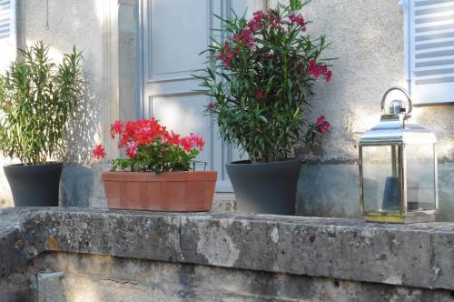 B&B / Chambre d'hôtes Le Clos des Roseaux 1 rue de l'Eglise Chorey-lès-Beaune