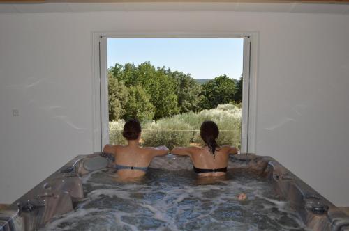 Le Clos des Taulelles gîte Le Figuier Saint-Privat-de-Champclos france