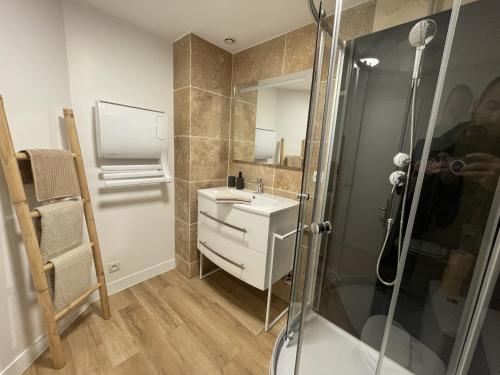 Appartement Le Cocon de Bastet, Figeac centre rue de la République, 21 Figeac