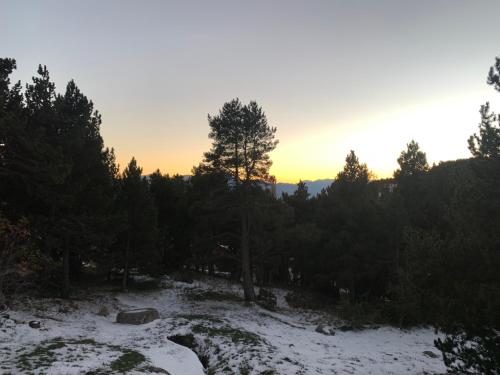 Le cocon des écureuils Font-Romeu-Odeillo-Via france