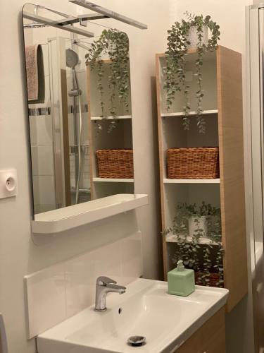 Appartement Le Cocon Rethelois. 9 Rue Paul Verlaine Rethel