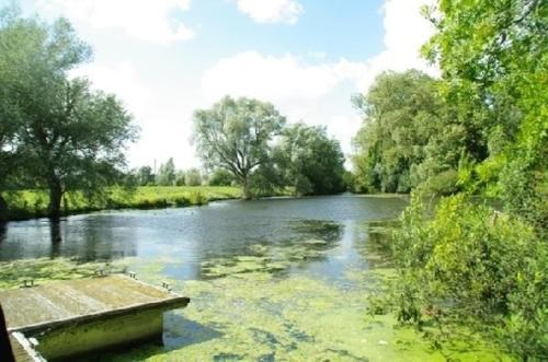 Le cottage de L’héron Houlle france