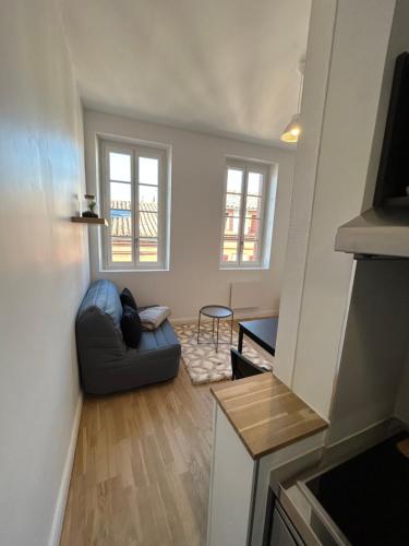 Appartement Le Cygne Blanc 65 Rue Pierre-Paul Riquet Toulouse