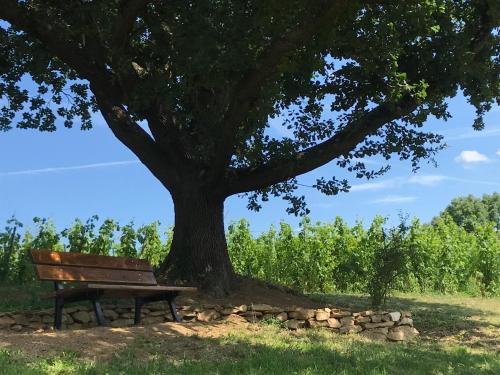 LE DOMAINE DE GORNETON Chasse-sur-Rhône france