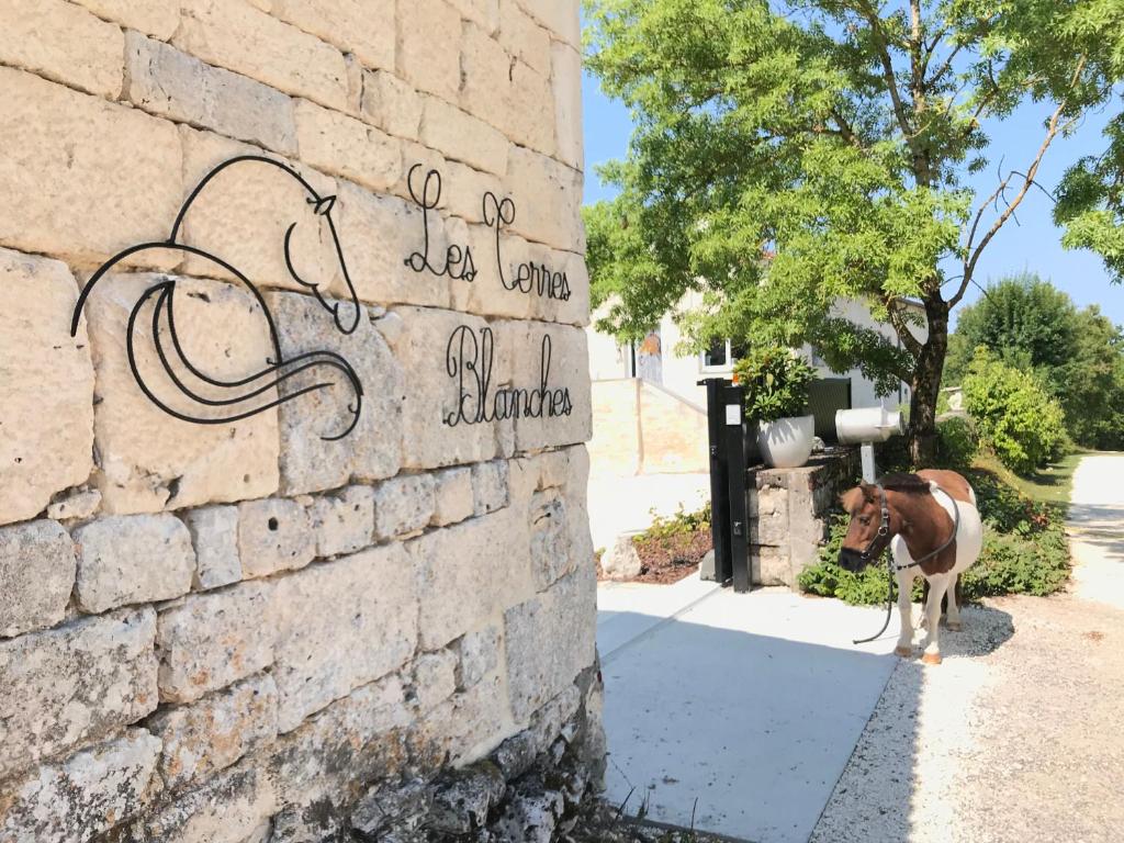 Maison d'hôtes Le Domaine des Terres Blanches lieu dit laucate, 46800 Le Boulvé