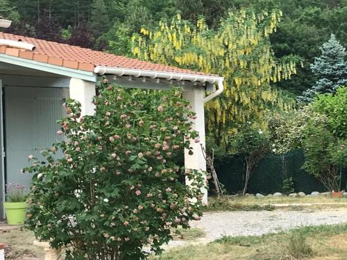 Appartement Le gîte des Pins (meublé de tourisme 3 Étoiles) Les Clots Saint-Julien-du-Verdon