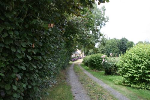 Maison de vacances Le Gite du Grand Saulaie lieu dit Le Grand Saulaie Chambellay