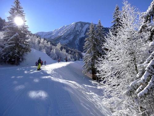 Le GrandCoeur Le Bourg-dʼOisans france