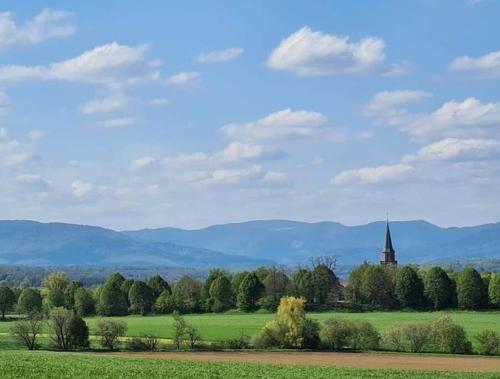 Le Grenier Dannemarie france