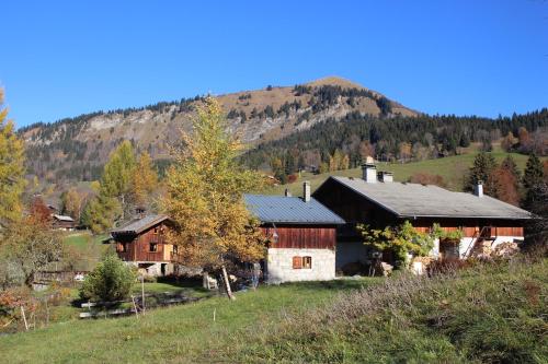 Le Hameau de Chantemerle Samoëns france