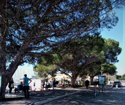 LE JARDIN DE LA PLAGE - Linges inclus La Londe-les-Maures france