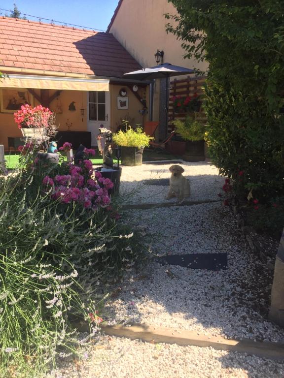 Maison de vacances Le jardin de THELEME \ le jardin de THELEME 399 chemin des perrères, 71250 Mazille