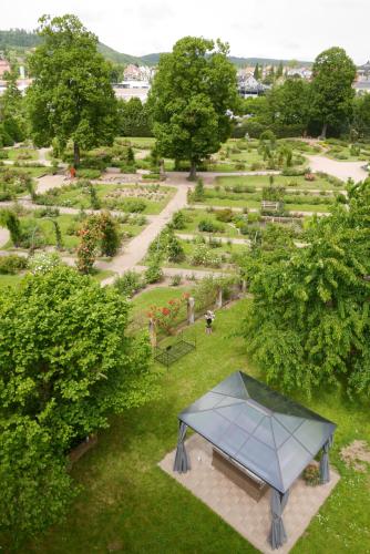 Le Jardin des Roses Saverne france