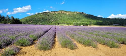 Le Jas de Volonne Volonne france